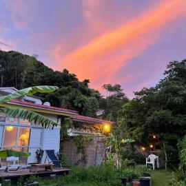 Guesthouse Papaya、下田市のホテル
