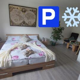 Pension RINGO, Airport Pit Stop, Bahnhof und Flughafen in der Nähe, hotel in Baden-Baden