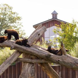 Parc Animalier de Sainte-Croix – hotel w mieście Rhodes