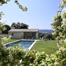 Les Agapanthes de Gordes