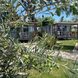 Camping Les Cigales, hotel in Mandelieu-La Napoule