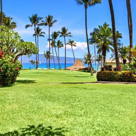 Napili Shores F150