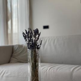 Römer Apartment und Zimmer, hotel v destinaci Türkheim