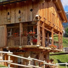 Chalet-Tabià al Sol montagna Dolomiti Pecol, hotel in San Tomaso