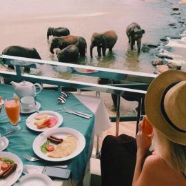 Hotel Elephant Park - Most Elephant Bathing View Rooms in Pinnawala, hotel u gradu Pinnawala