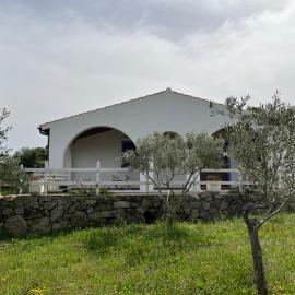 La casa nell'oliveto, hotel Berchiddában
