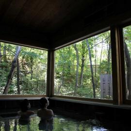Nakaodaira, hotel in Takayama