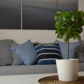 Apartamento Salitre con Aire Acondicionado