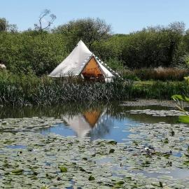 Lakeside Retreat Glamping at Amalwhidden St Ives, hotel a Towednack