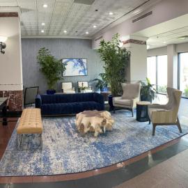 Wyndham Houston near NRG Park - Medical Center, hotel en Houston