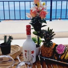 Rooftop Las Vistas, 2 bedrooms First Line, hotel in Los Cristianos