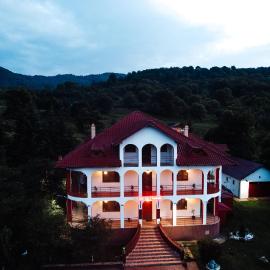 Casa cu Elefanți, hotel i Corbşori