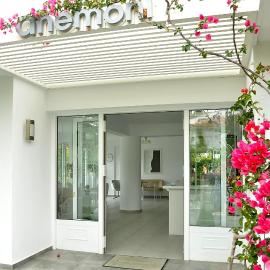 Anemoni Beach Hotel, hotel a Ciutat de Skíathos