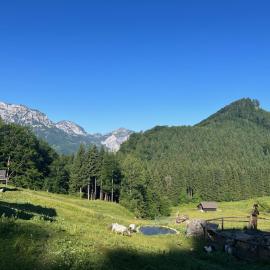Apartment Hochsteinalm, hotel en Traunkirchen