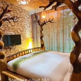 Roaming Cloud Sun Moon Lake B&B