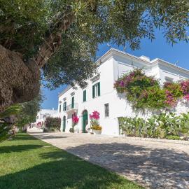 Masseria San Nicola Savelletri - B&B, hotel in Fasano