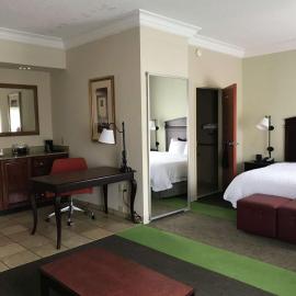 Hampton Inn Vidalia، فندق في فيداليا