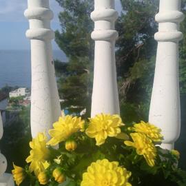 Гостевой дом Polina, hotel in Gornji Sušanj