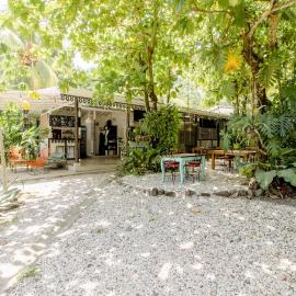 Bajo el Arbol B&B