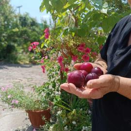 Irene's home, hotel en Igoumenitsa