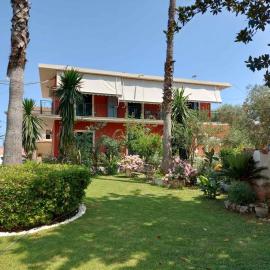 Niki Thalia Viros Apartment 1