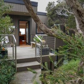 SaltBush