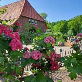Mutti 's Landhof, hotel in Ummern