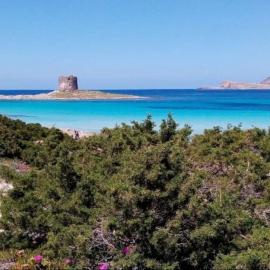 ClickSardegna Villa Regina Stintino sea view with pool and garden