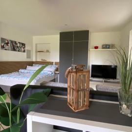 Apartment Bärenfelsblick, hotel a Wehr