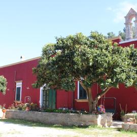 Tenuta Santa Rosa
