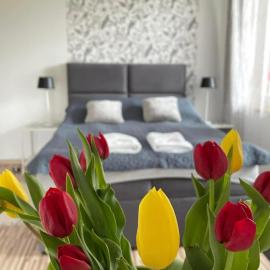 Villa Marzenie Pokój 2 osobowy, hotel a Wdzydze Kiszewskie