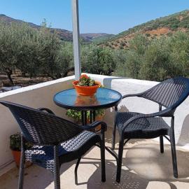 Olive metohi return to nature