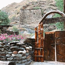 Ethnic Hostel Shatili, Hotel in Shatili