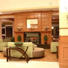 Hilton Garden Inn Chesapeake/Suffolk，Holly Acres的飯店