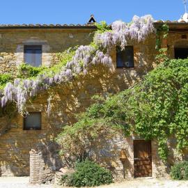 La Casa Di Campagna, hotel v destinácii Magione