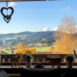 Almherzl - Hallenbad, Sauna, Bergblick, Ski, renoviert, Hotel in Missen-Wilhams