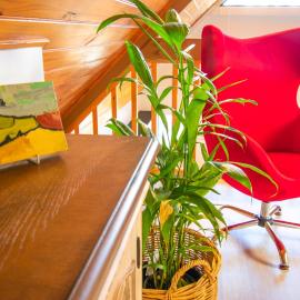 A Light Filled Loft in the Heart of Albany