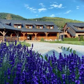 Penzión Driečna, hotel i Havaj