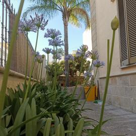 Villa Confalonieri