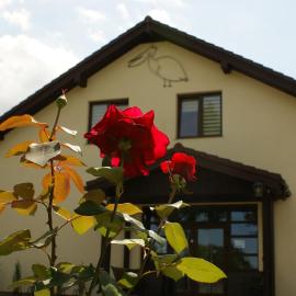 Pelikan, hotel in Aleksandrów Łódzki