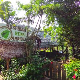 Viesnīca Hospedaje y tours Reina Arriera amazonas colombia pilsētā Macedonia