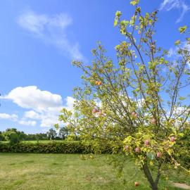 APPLEDOWN - Secluded Rural Retreat in Kingsdown, 10 mins to BEACH