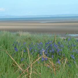 Three bedroom House with a Magnificent sea view Sandhead Dumfries & Galloway