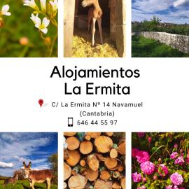 Alojamientos La Ermita, Hotel in Navamuel