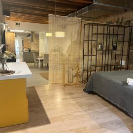 Luxury Apartment Stancesvic LOFT (New), hotel en Vic