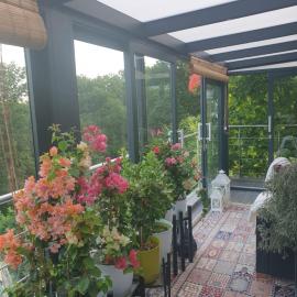 Cozy room with a beautiful garden view