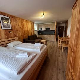 Kaprun Mountain Studio with Summer CARD- Central Location