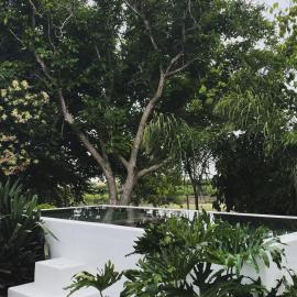 Lobeira - Centenary country house and gardens, hotell i Beja