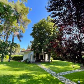 Villa Diomedes, Hotel in Sani Beach