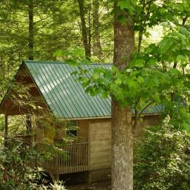 Holly Nest a Cozy Cabin Getaway near Gatlinburg, hotel v destinaci Cosby